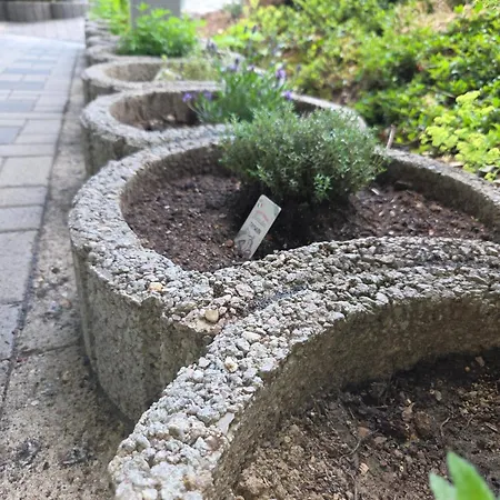 Wurm
